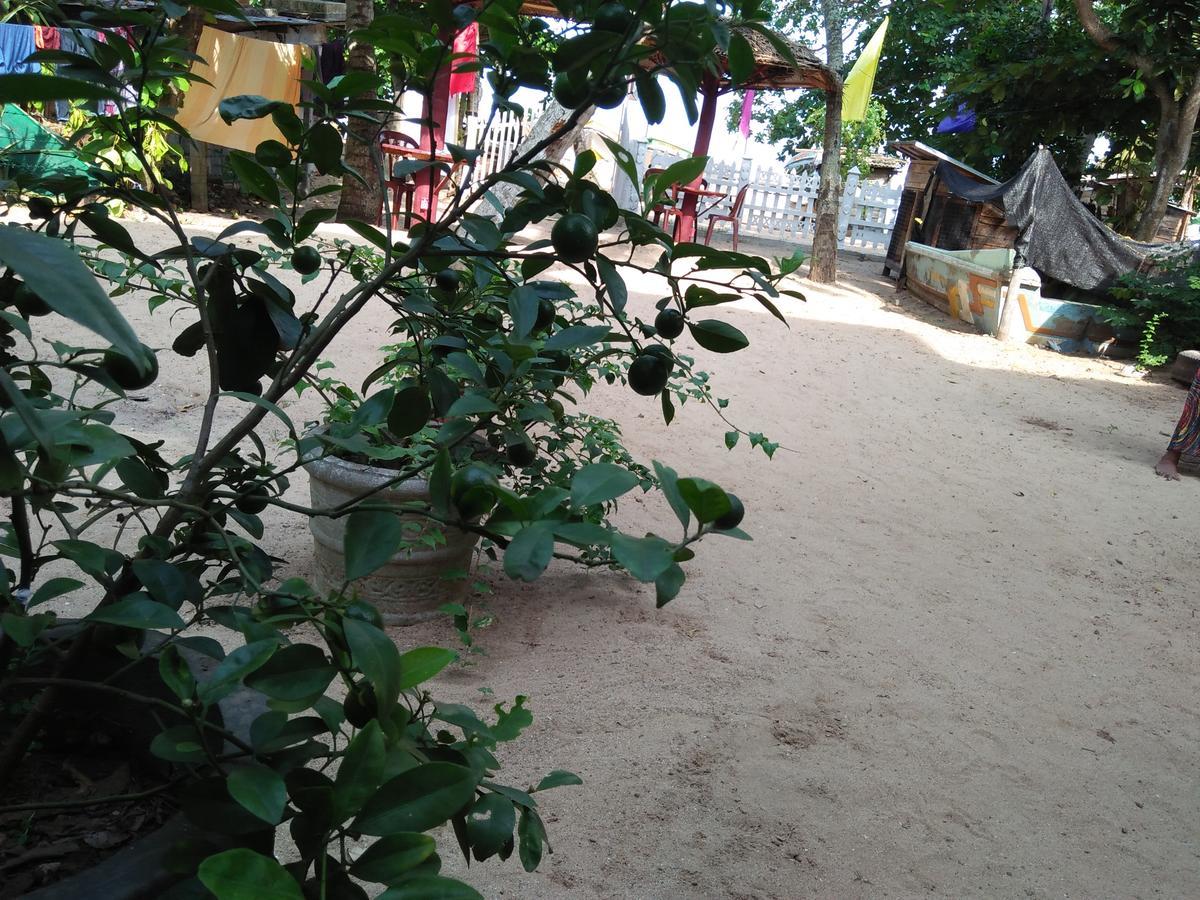 Parei Beach Inn タンガラ エクステリア 写真
